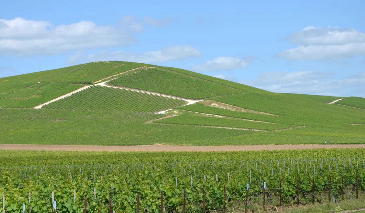 Épaviste agréé VHU à Aÿ-Champagne en Marne
