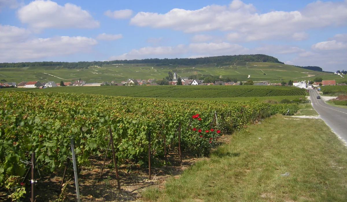 Épaviste agréé VHU à Blancs-Coteaux en Marne
