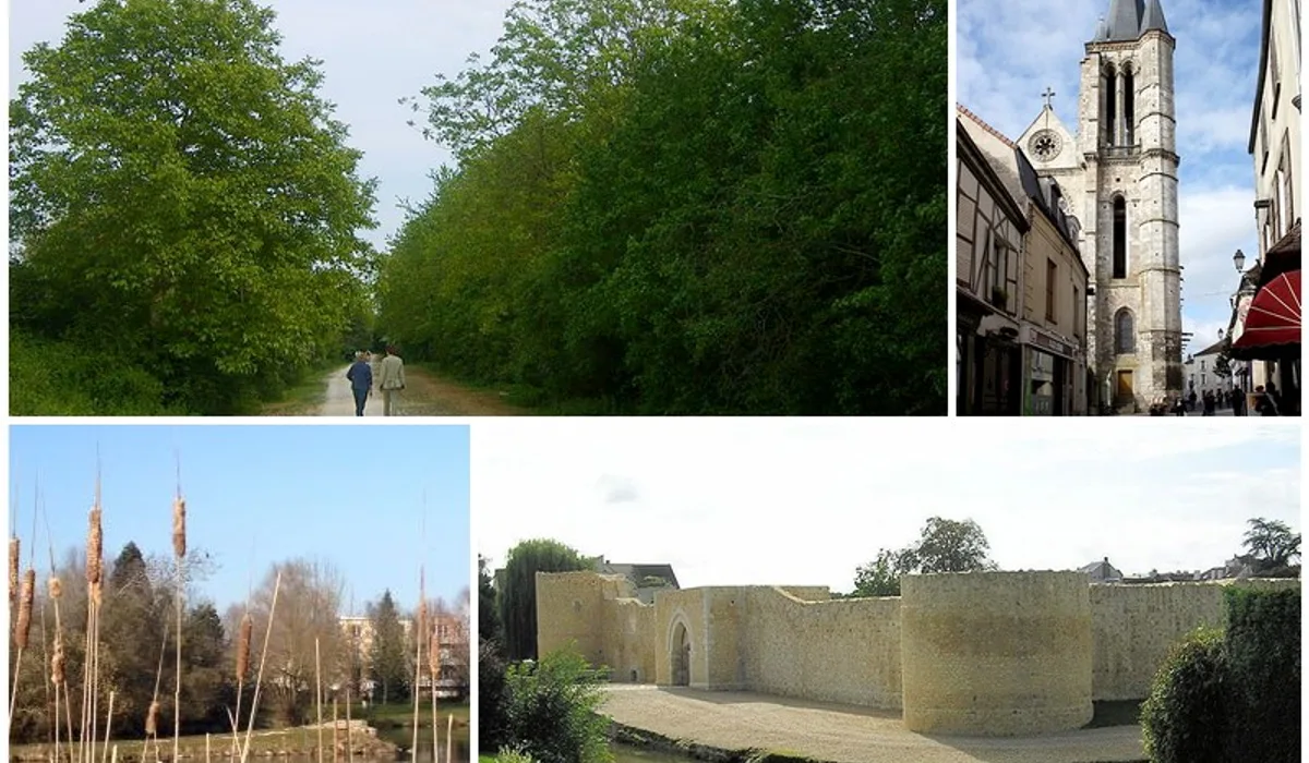 Enlèvement d'épave gratuit à Brie-Comte-Robert (77170) en Seine-et-Marne