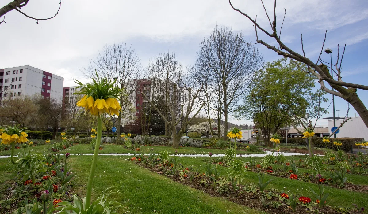 Épaviste agréé VHU à Montigny Les Cormeilles dans le Val-d'Oise